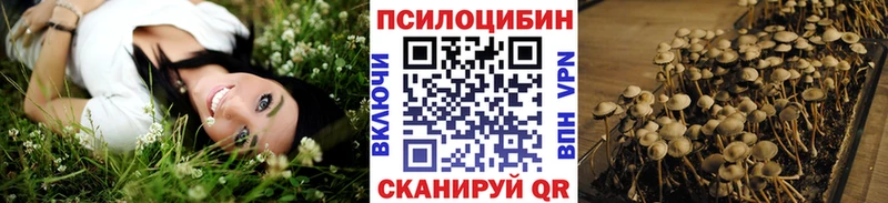 Купить где  Нижняя Салда  Псилоцибиновые грибы мицелий 